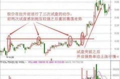 大摩中国A股基金分红派息全攻略