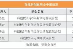 创业板基金：抓住电光火石的投机奇迹