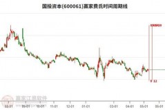 股市国投资本是什么