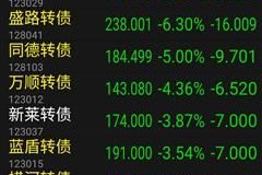 创业板没有涨的股票怎么买