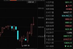 创业板的金矿，谁是你下一笔“炒股”敲锤？