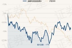 科技创新股票基金净值大公开