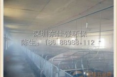 养猪场养鸡场增值税税率那些事儿