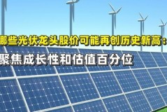 光伏能源龙头股有哪些股票