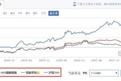 新手适合玩什么基金？让你轻松上手，不再迷茫！