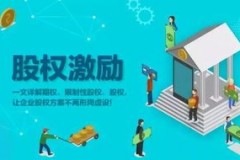 股权中的期权是什么意思呀