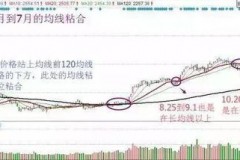 万科股票赚多少钱？看看数字背后的故事