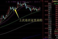 次新股板块股票6，谁是本次的“穿山甲”？