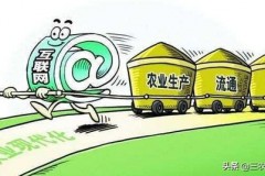 农村电商发展第一步：让你的麦子飞上云端