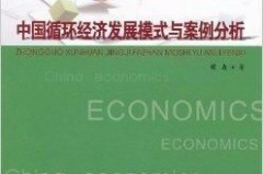 中国经济发展案例大盘点：从菜市场到数字帝国的蜕变