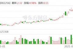 st兆新股份公司介绍