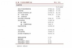 新能泰山：华能集团的财务黑马