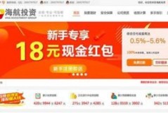 海航投资全景速览：从客机到股权的疯狂旅程