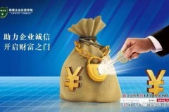 宁谷投资乐视的月投额度全观测