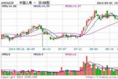前十大持股特别高的股票盘点