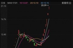 热门板块绩优股票有哪些