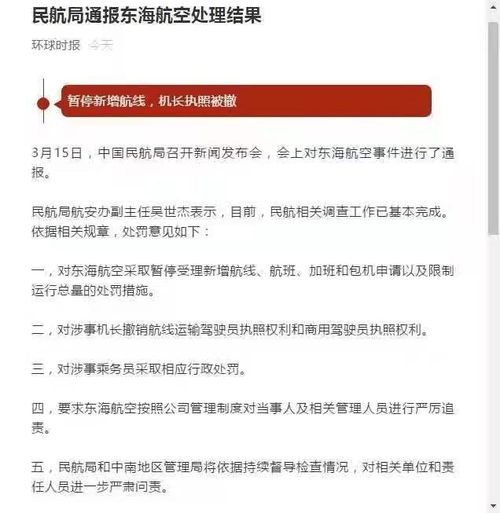 东海航空公司处理结果