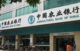 上海建设银行咨询电话