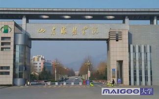 山东服装职业技术学院:原来你是经济学界的缝缝补补专家? 山东服装职业技术学院