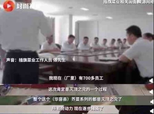 插旗菜业员工发声:成本攀升与盈利压力双重打击 插旗菜业员工发声