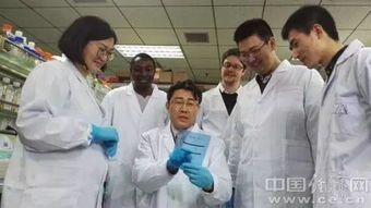 高福疾控中心主任不会传染