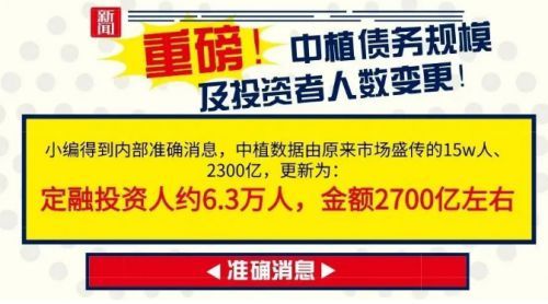 中植集团最新消息