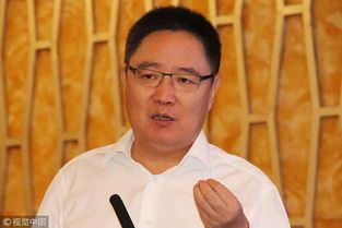 千亿集团董事长被查