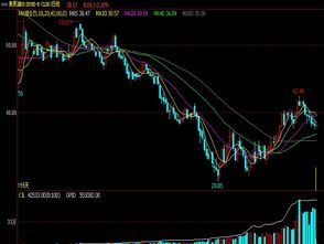 木蜡油面油价格走势图