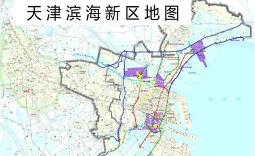 滨海新区行政区划