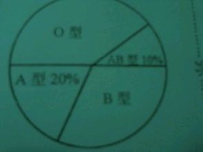 十二种B型