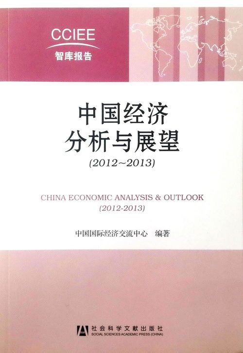 中国经济展望论文
