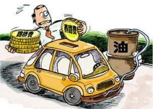 车视乐装一个多少钱