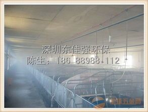 养猪场养鸡场增值税税率那些事儿 养猪场养鸡场增值税税率