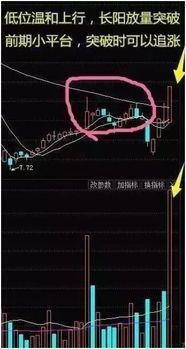 跌停到涨停洗盘