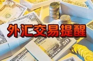 外汇交易怎么亏钱