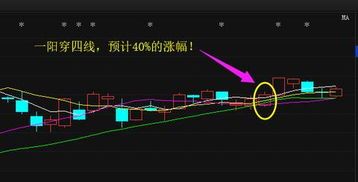 蓝山科技龙头股票有哪些