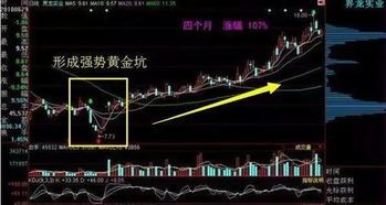 黄金坑股票最新行情