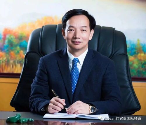 陈丹——农业银行行长的风采 陈丹农业银行行长简历