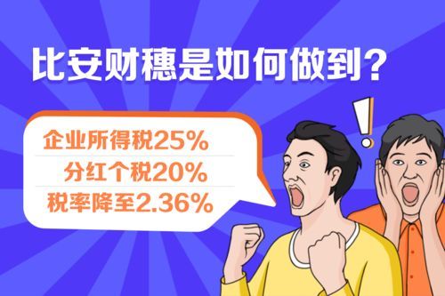 股东工资怎样分配合理的