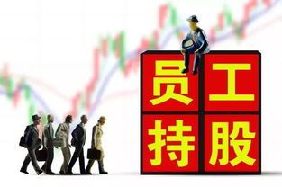 所有公司都实行员工持股