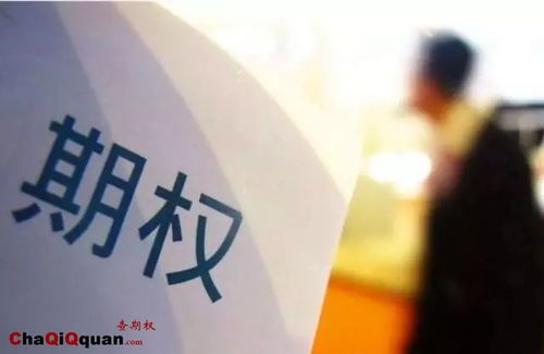 个股场外期权的交易量:从零到一的发现 个股场外期权的交易量