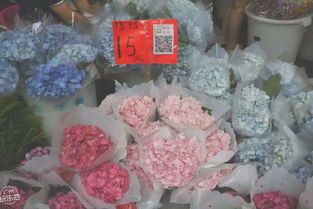 玫瑰鲜花批发市场最低价广州 玫瑰鲜花批发市场最低价广州