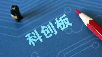 8月启航科创板上市的新股