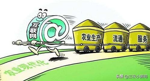 农村电商发展第一步:让你的麦子飞上云端 农村电商发展第一步