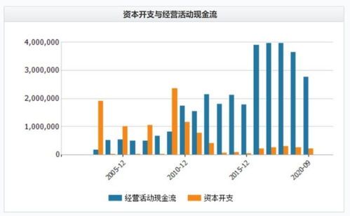 最被低估的电力股票有哪些
