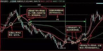 均线黏合涨停选股公式
