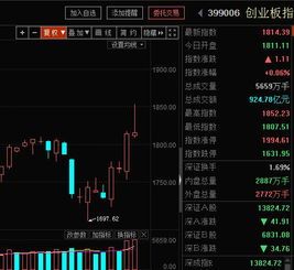 创业板的金矿,谁是你下一笔“炒股”敲锤? 创业板看好的股票