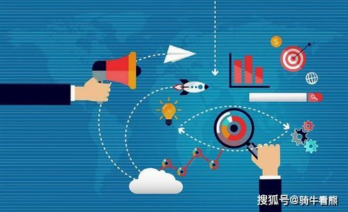 收益率最高的基金组合