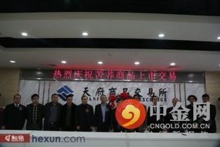 金融龙头交易所