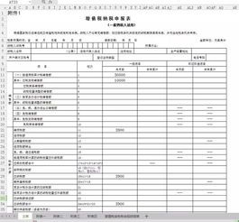 增值税申报表国税实操指南 增值税纳税申报表国税